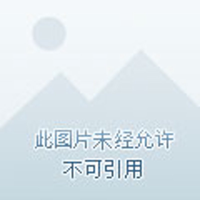 灯饰店